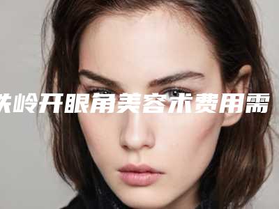 铁岭开眼角美容术费用需要 多少钱